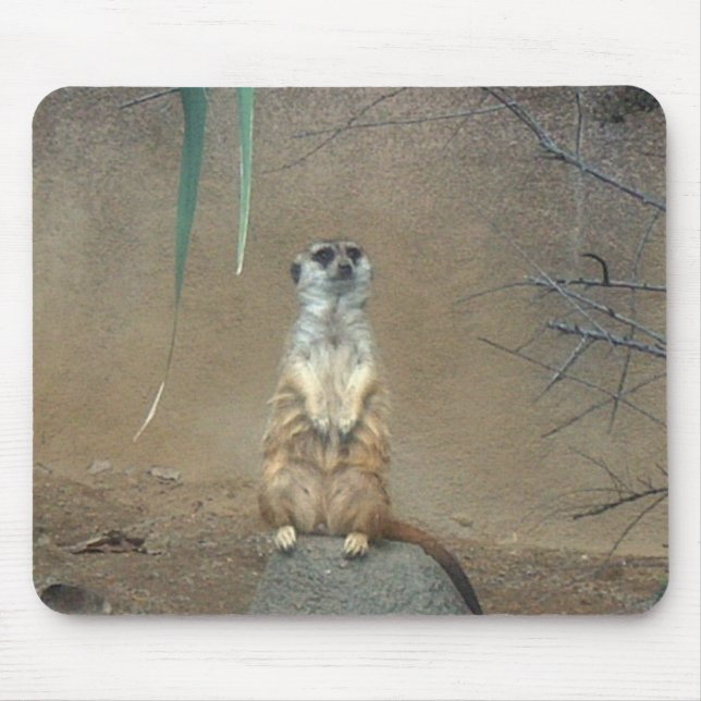 Tapis De Souris Meerkat (Devant)