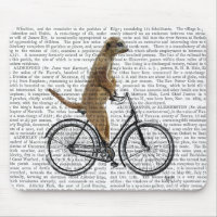 Meerkat à vélo