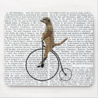 Meerkat sur Black Penny Farthing