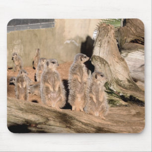 Tapis De Souris Meerkats