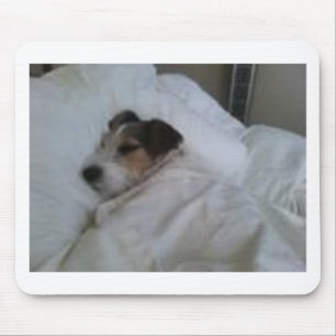 Tapis De Souris Meilleur Mousepads