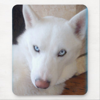 Tapis De Souris Meilleurs amis