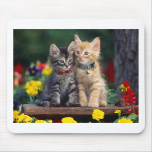 Tapis De Souris Meilleurs amis