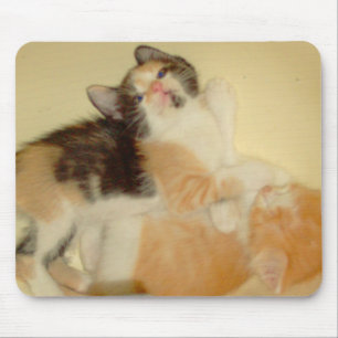 Tapis De Souris Meow Cats 5 Mousepad
