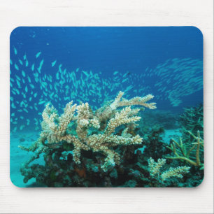 Tapis De Souris Mer de corail de la Grande barrière de corail de