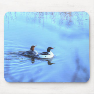 Tapis De Souris Merganser Ducks