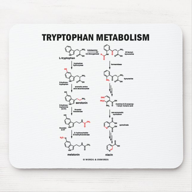 Tapis De Souris Métabolisme de tryptophane (chimie) (Devant)