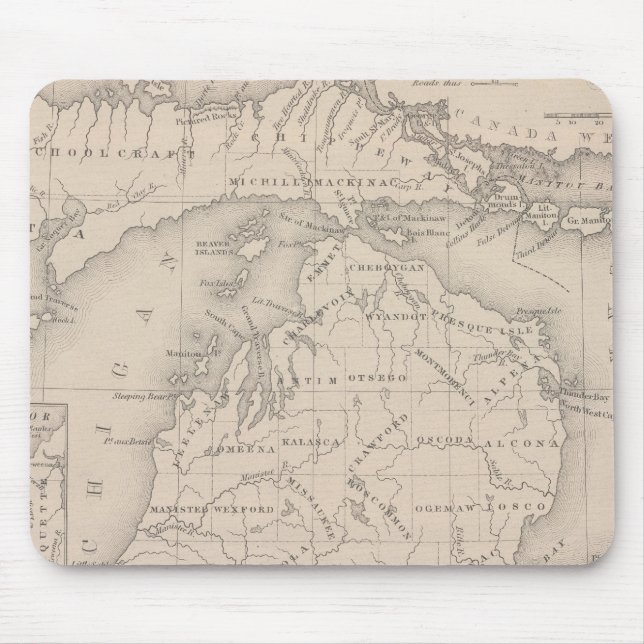 Tapis De Souris Michigan 5 (Devant)