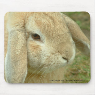 Tapis De Souris Miel, lapin aux oreilles tombantes