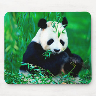 Tapis de souris mignon de panda