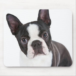Tapis De Souris Mignonne Boston Terrier Maman Chiot Amant Chien