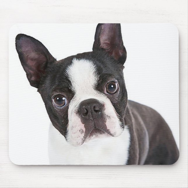 Tapis De Souris Mignonne Boston Terrier Maman Chiot Amant Chien (Devant)