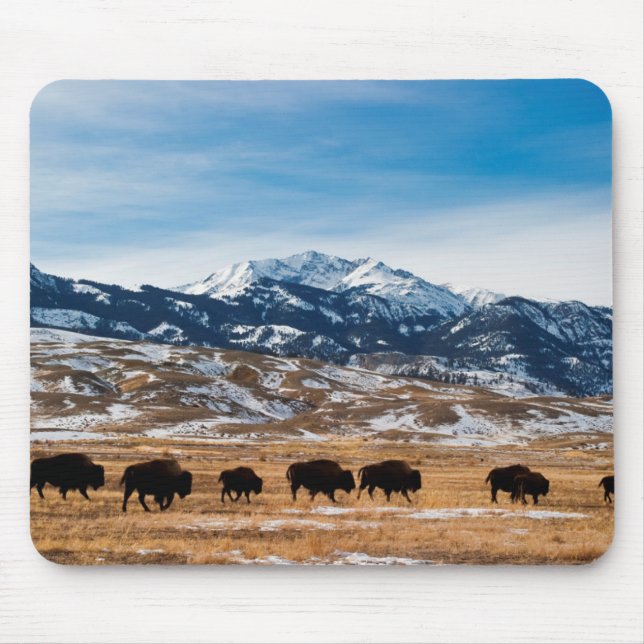 Tapis De Souris Migration de bison (Devant)