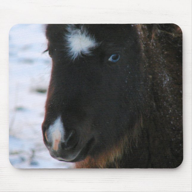 Tapis De Souris Mini Horse adorable Filly (Devant)