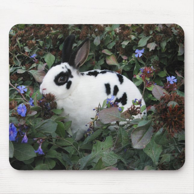 Tapis De Souris Mini mousepad de lapin de Rex (Devant)