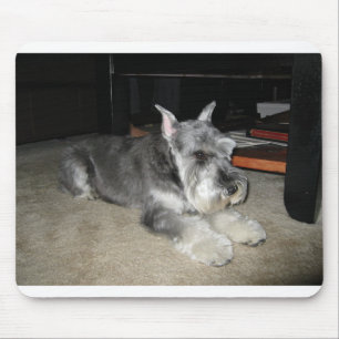 Tapis De Souris Mini_Schnauzer pose