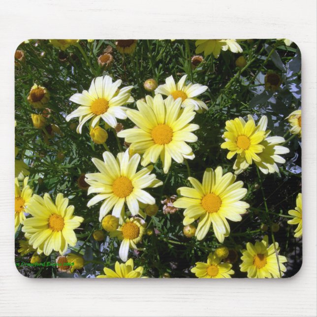 Tapis De Souris Misty (Agryranthemum) (Devant)