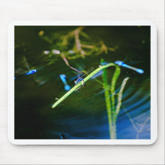 Tapis De Souris MK2A8136_v01