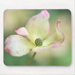 Tapis De Souris Mlle Satomi'de Kousa de cornus de la fleur   de