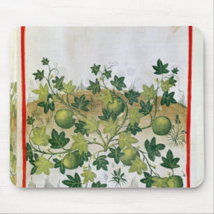 Tapis De Souris Mme 3054 melons fol.20, de 'Tacuinum Sanitatis
