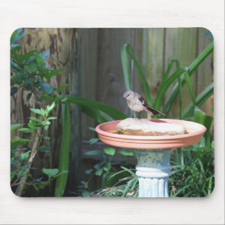 Tapis De Souris Mockingbird à Birdbath