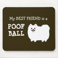 Mon meilleur ami est une boule de poils - Pomerani