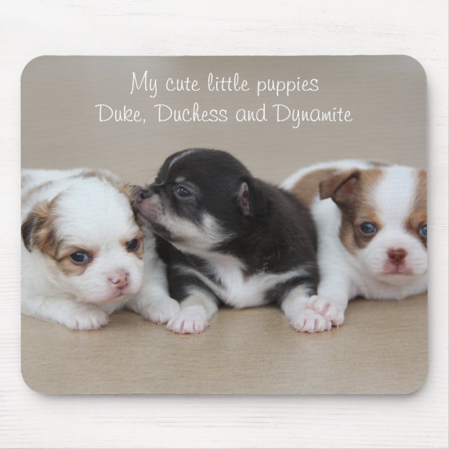 Tapis De Souris Mon mignon petit Chihuahua Pad de souris (Devant)