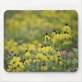 Tapis De Souris Monet_zazzle de coneflower de P2526a_yellow