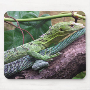 Tapis De Souris Moniteur vert d'arbre - prasinus de Varanus