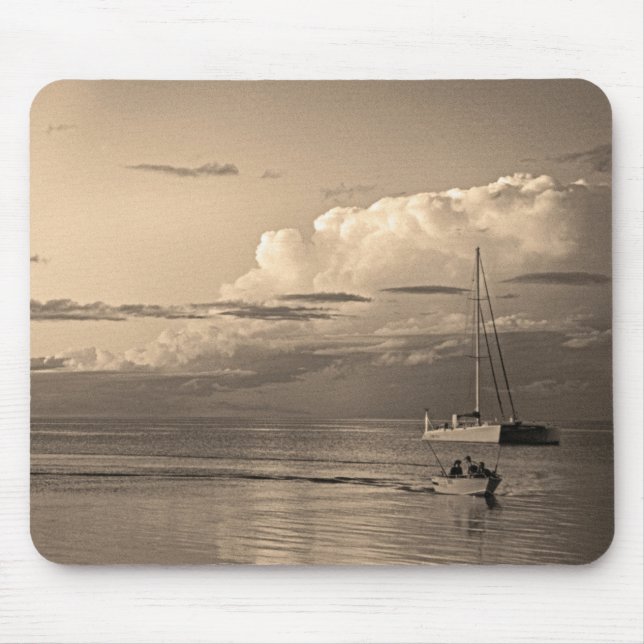 Tapis De Souris Monkey Mia (Devant)