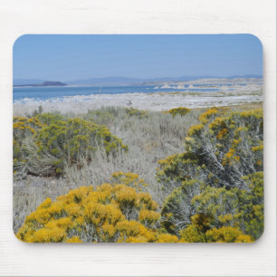 Tapis De Souris Mono Lake, Californie