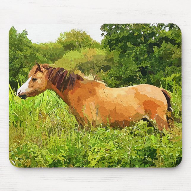 TAPIS DE SOURIS MONTAGNE CHAUDE PONY (Devant)