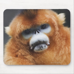 Tapis De Souris Montagnes de Qinling