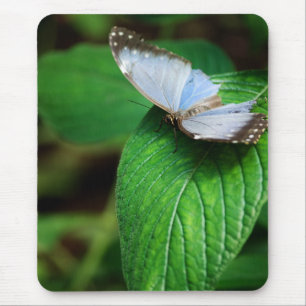 Tapis De Souris Morpho bleu 112 Mousepad
