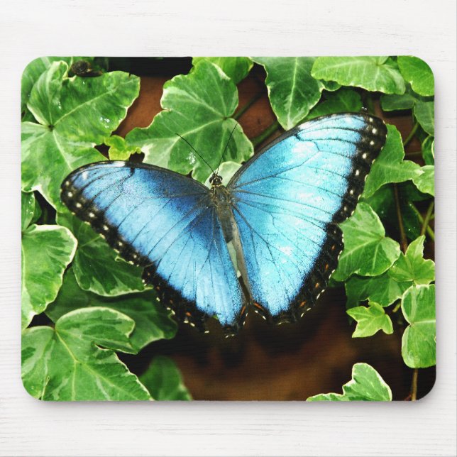 Tapis De Souris Morpho bleu Mousepad (Devant)