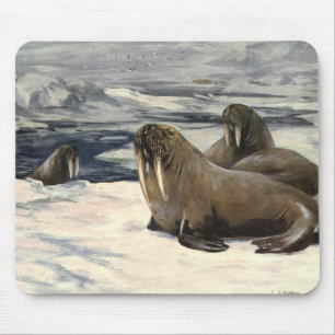 Tapis De Souris Morses dans la neige arctique, animal marin vintag