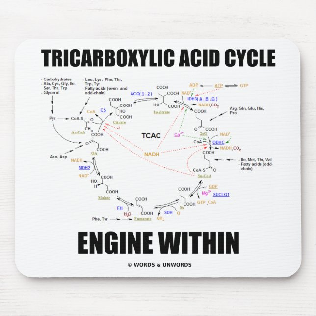 Tapis De Souris Moteur de cycle d'acide tricarboxylique dans le (Devant)