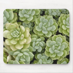 Tapis De Souris Motif de plante Sedum
