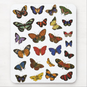Tapis De Souris Motif Papillon – Botanique Inspirée de la Nature