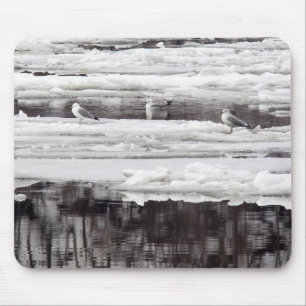 Tapis De Souris Mouettes sur la glace