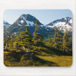 Tapis De Souris Mount Eccles near Cordova, Alaska