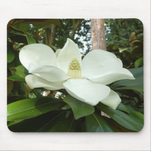 Tapis De Souris Mouris Magnolia Grandiflora