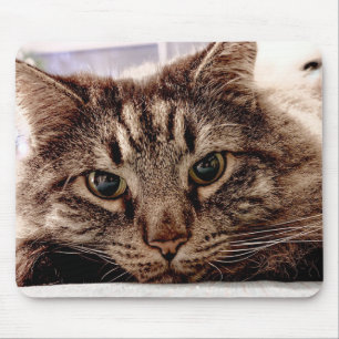 Tapis De Souris Mouse Pat Maine Coon