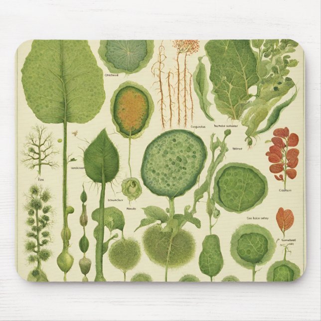 Tapis De Souris Mousepad (Devant)