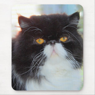 Tapis De Souris Mousepad