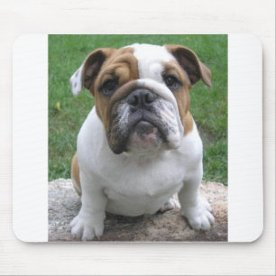 Tapis De Souris mousepad