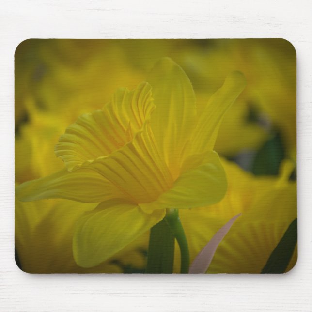 Tapis De Souris Mousepad (Devant)