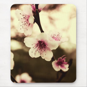 Tapis De Souris Mousepad