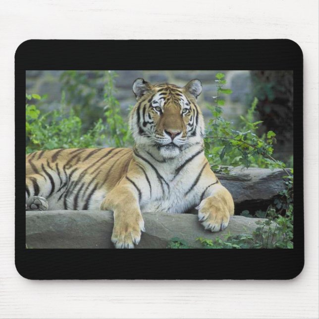 Tapis De Souris Mousepad (Devant)