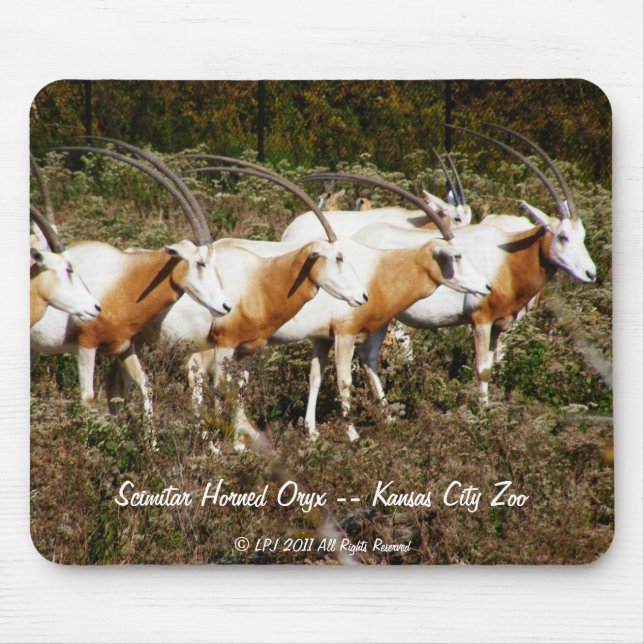 Tapis De Souris Mousepad à cornes d'oryx de cimeterre (Devant)